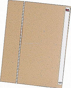 ��� �����+ ����