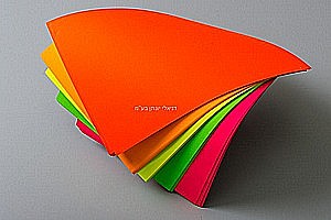 �� �������� ���� ����