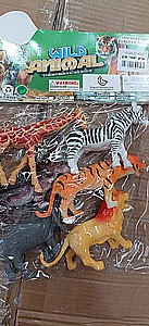 �� 6 ���� ��