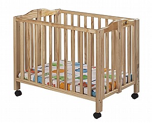 ���� ����