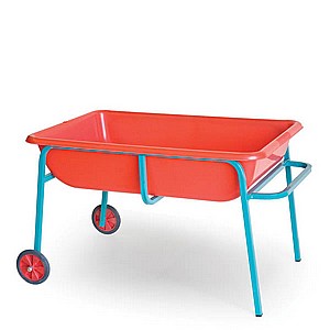 ���� ��� ���� ���