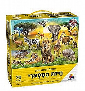 ���� ���� ������- ��������