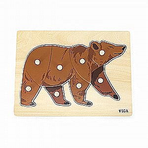 ���� ����� ���