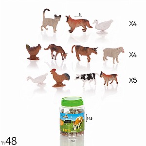 �� ���� ���� ������