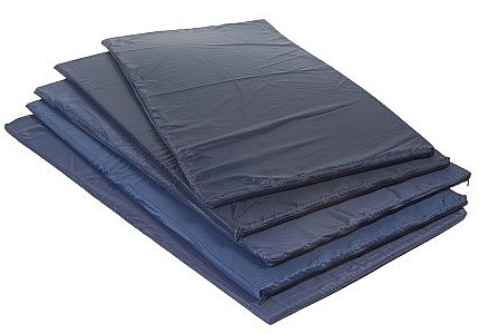 ����� ����