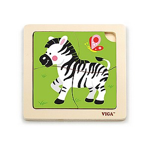 ���� ����� ����