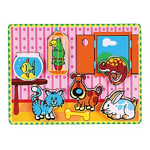 ���� ��� ���� ���� ���