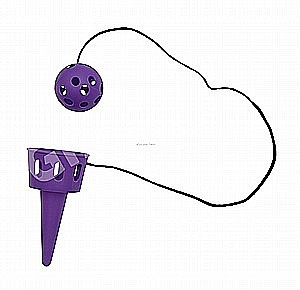 ���� ����� ������