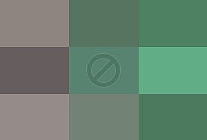 ����� �������� 50 ������ ���� A4