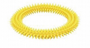 ���� ����� �������