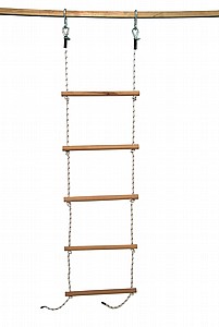 ���� ����� �� �����