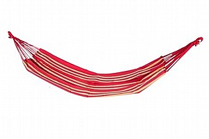 ���� �� ������